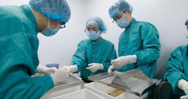 Việt Nam thử nghiệm vaccine COVID-19 trên khỉ