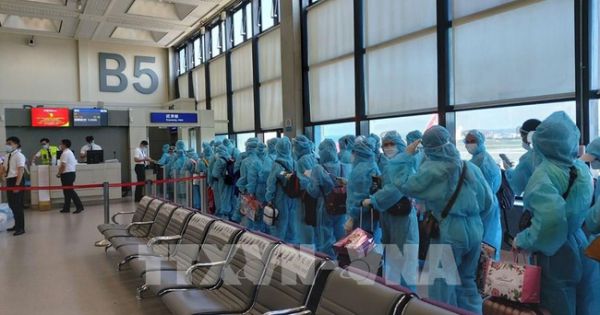 Mỗi tuần sẽ có 4 chuyến bay khứ hồi giữa Việt Nam và Đài Loan