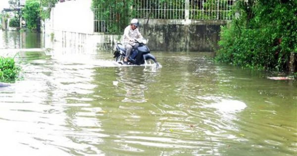 Quảng Ngãi: Nước lũ dâng cao, nhiều khu dân cư bị ngập nặng