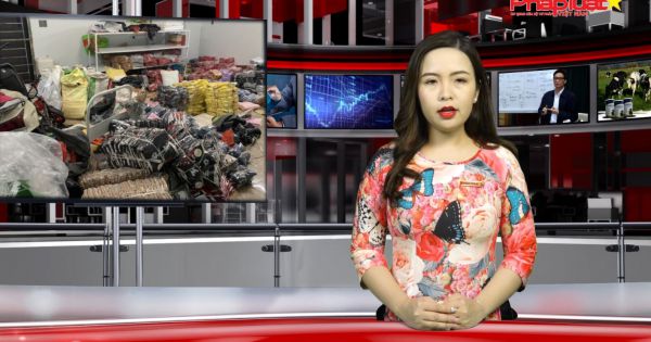 Bản tin thị trường tiêu dùng - Số 86