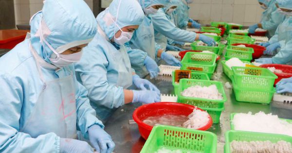 Xuất khẩu thủy sản 10 tháng đầu năm đạt gần 7 tỷ USD