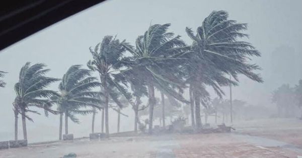 Đề xuất xóa bỏ tên bão Linfa từng gây thiệt hại nặng nề cho miền Trung