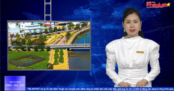 Bản tin doang nghiệp 18-11