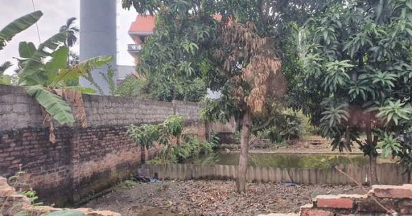 Tạm giữ hình sự 6 người trong vụ gây án mạng do tranh chấp đất ở Hải Phòng