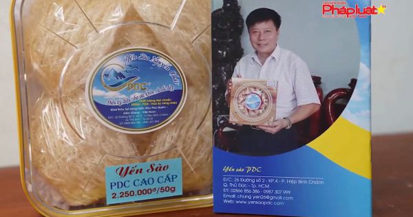 Yến sao PDC – món quà tinh túy từ thiên nhiên