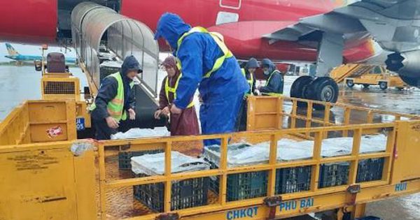 Hàng viện trợ khẩn cấp khắc phục hậu quả thiên tai không chịu thuế