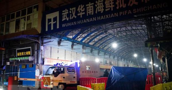 Chuyên gia WHO sẽ đến Trung Quốc điều tra nguồn gốc đại dịch COVID-19