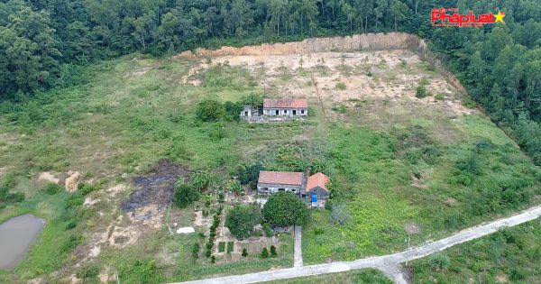 Huyện Cô Tô, Quảng Ninh: “Ma trận” xẻ rừng, “hô biến” đất rừng phòng hộ