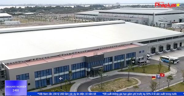 Bản tin doanh nghiệp 25-11