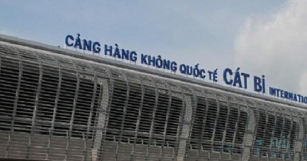 Hải Phòng lập biên bản đối với chủ của đàn trâu gặm cỏ trong sân bay Cát Bi