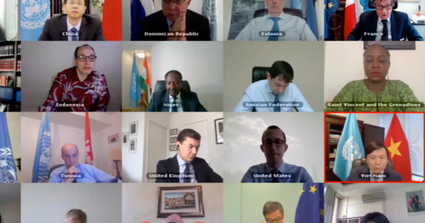 Việt Nam ủng hộ vai trò tích cực của Phái bộ Liên Hợp Quốc hỗ trợ Iraq