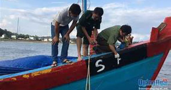 Phạt chủ tàu cá 400 triệu do không duy trì thiết bị giám sát hành trình tại Cà Mau