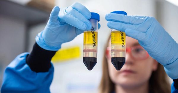 Vaccine phòng COVID-19 có thể phân chia theo lứa tuổi