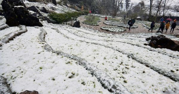 Miền Trung 7 người chết vì mưa lũ, miền Bắc rét đậm, rét hại