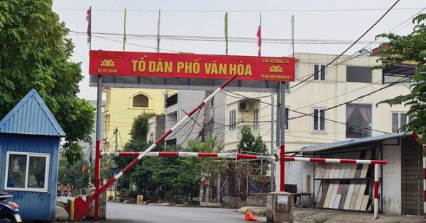 Hải Phòng sắp cưỡng chế 9ha đất quốc phòng bị lấn chiếm