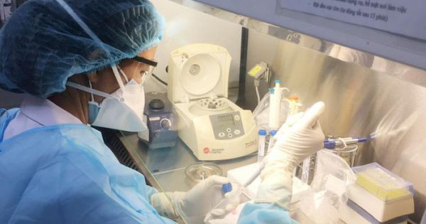 Liên quan 4 ca Covid-19 ở TP.HCM, thêm 731 người được xét nghiệm