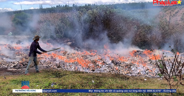 Bản tin thị trường tiêu dùng - Số 93