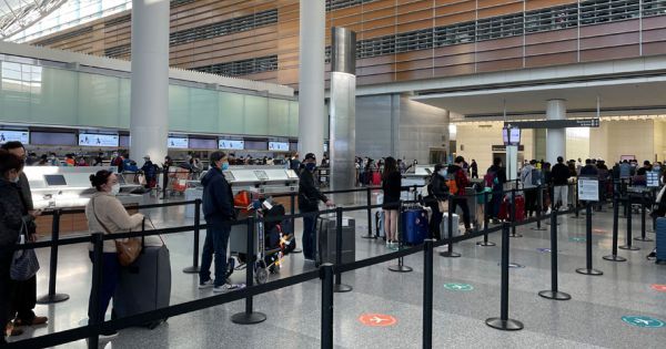 Khoảng 350 công dân Việt Nam từ Ấn Độ, UAE được đưa về nước