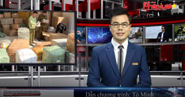 Bản tin thị trường tiêu dùng - Số 94