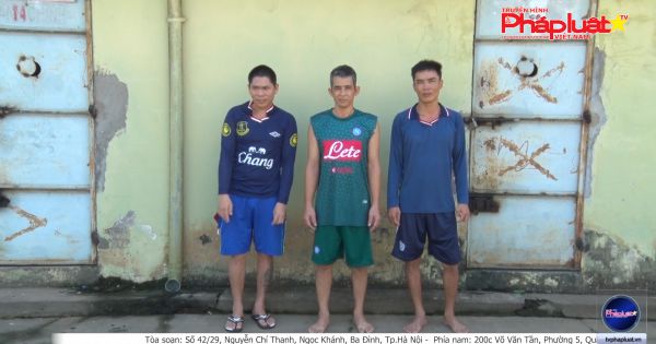 Kiên Giang: Đề nghị truy tố 03 tên trộm cây mai trị giá hàng chục triệu đồng