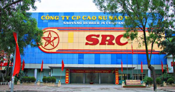Cao su Sao Vàng bi truy thu và nộp hơn 1,6 tỷ đồng vì khai sai thuế