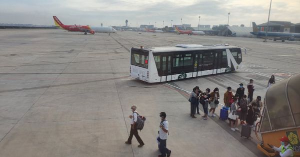 Vé máy bay Tết bắt đầu nóng, thị trường xuất hiện vé giả