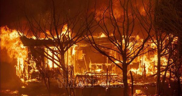 Thảm họa trong năm 2020 khiến thế giới thiệt hại 187 tỉ USD