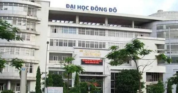 Thủ tướng chỉ đạo khẩn trương truy bắt Chủ tịch trường Đại học Đông Đô