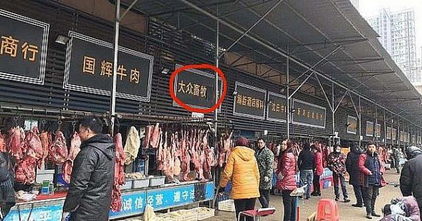 WHO điều tra khu chợ Vũ Hán, ổ dịch COVID-19 đầu tiên