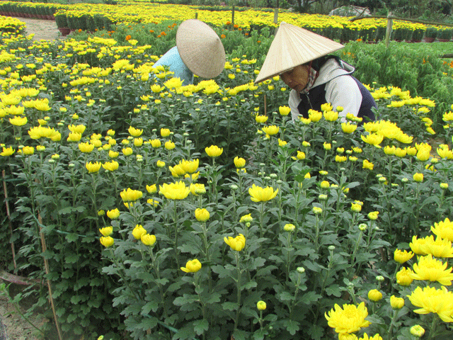 TP.HCM: Huy động hơn 9,1 tỷ đồng chăm lo Tết cho hơn 3.000 hộ nông dân