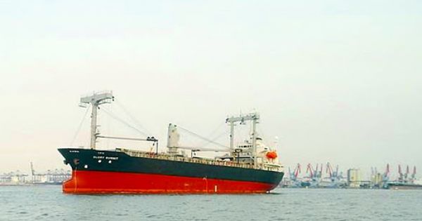 Tìm được 12 thuyền viên tàu Panama gặp nạn gần đảo Phú Quý