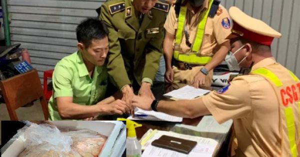 1,7 tấn lòng lợn bốc mùi hôi thối suýt tuồn ra thị trường ở Đắk Lắk