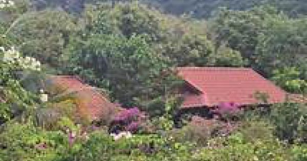 Khẩn trương khởi tố bị can trong vụ sai phạm ở Vườn Quốc gia Cát Bà