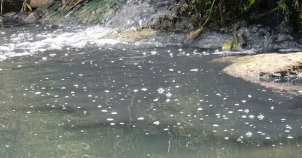 Xử lý Nhà máy tinh bột sắn xả thải ra sông Hồng