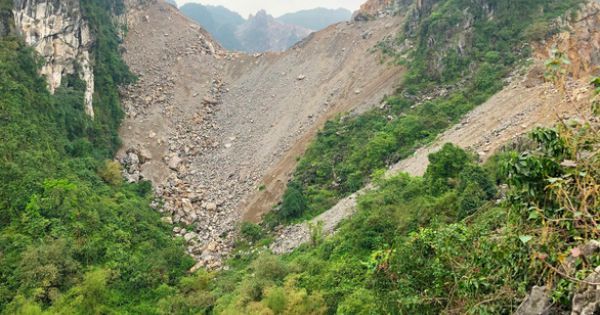 Loại bỏ 57 dự án, cương quyết thu hồi dự án để xảy ra mất rừng