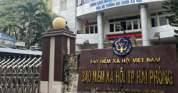 Bắt giám đốc công ty lừa đảo, chiếm đoạt 24 tỷ đồng