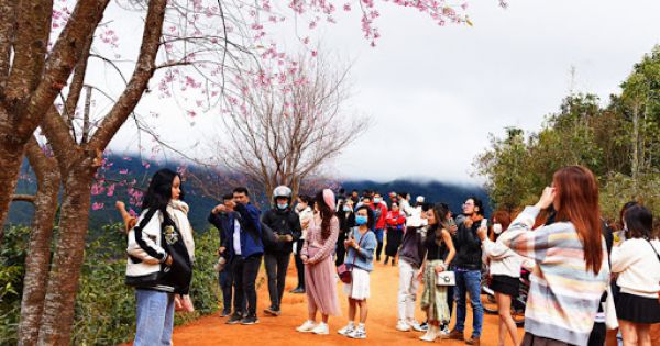 Đà Lạt đón 70.000 lượt khách dịp Tết Dương lịch 2021