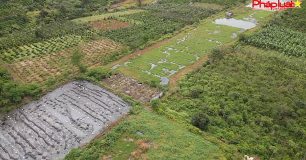 Gia Lai: Quy trình xử lý nước thải nhà máy chế biến mủ cao su Chư Sê không đúng quy trình?