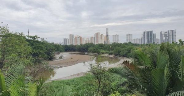 TP. HCM: Dân số phường Thủ Thiêm sau khi sáp nhập không phải chỉ có 428 người