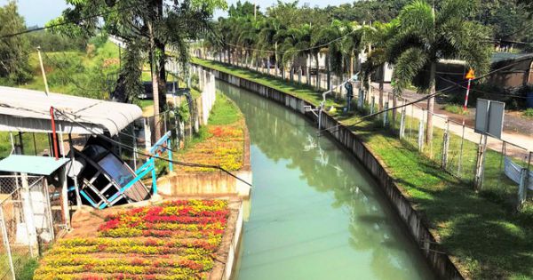 Hàng loạt sai phạm tại Công ty quản lý khai thác dịch vụ thủy lợi TP.HCM