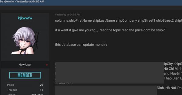 Thông tin cá nhân của 300 ngàn người Việt bị hacker rao bán trên Internet