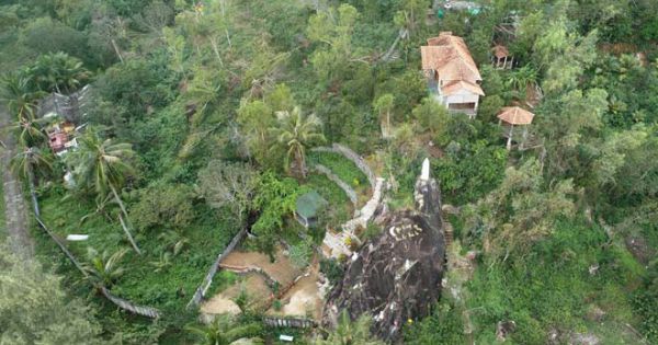 Nguyên Chủ tịch UBMTTQ Việt Nam tỉnh Bình Định bị phạt 4 triệu đồng vì chuyển đổi trái phép đất rừng