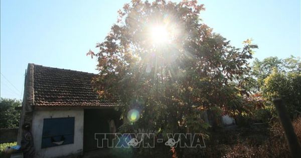 Nhiều tỉnh, thành ở phía Nam có tia cực tím ở ngưỡng nguy cơ gây hại cao