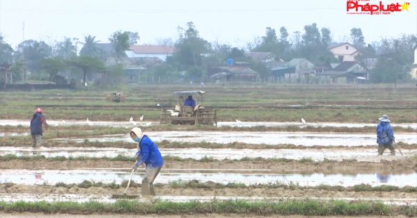 Cam Lộ - Quảng Trị: Chính quyền cùng nhân dân đoàn kết, nỗ lực vượt qua giai đoạn khó khăn