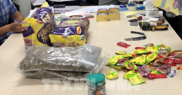 Hải quan TP. HCM bắt giữ hơn 31,2 kg ma túy