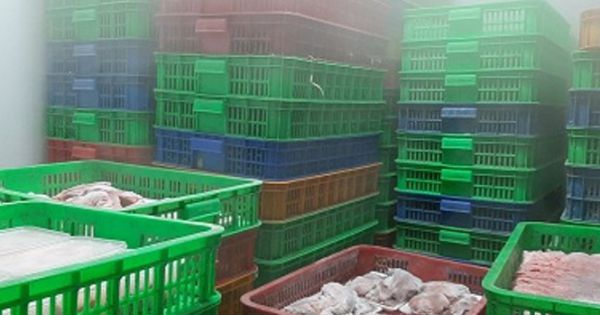 Hơn 5, 5 tấn thịt, hải sản chứa trong bao tải không có nguồn gốc xuất xứ