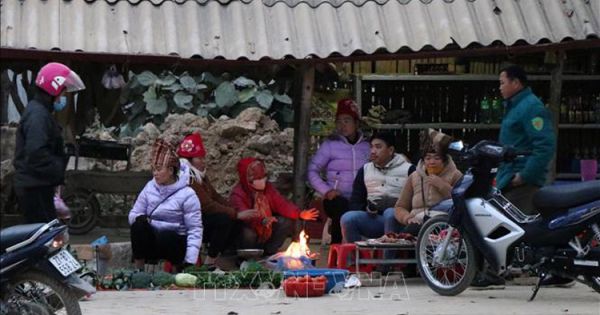 Tiếp tục thực hiện nghiêm Công điện về ứng phó với rét đậm, rét hại