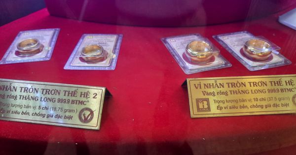 Giá vàng ngày 15-1 bật tăng, Mỹ dự kiến chi 2.000 tỉ USD vực dậy kinh tế