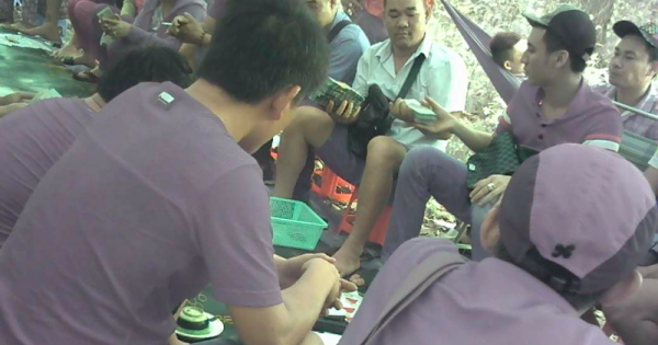 Bà Rịa - Vũng Tàu: Bắt giữ con trai nguyên Phó trưởng Công an huyện Xuyên Mộc