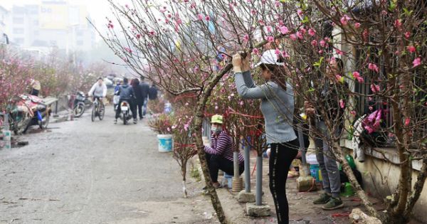 Chính phủ ủng hộ đề xuất dán tem chứng nhận 